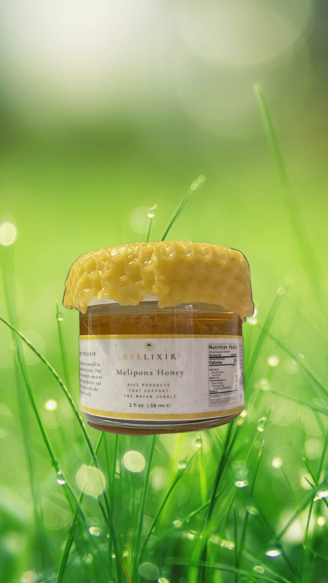 Melipona Honey 2 fl oz/59 ml (Luxury Hotel gift box presentation)